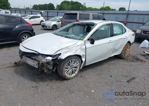 2020 Toyota Camry Xle z USA, uszkodzony, nr VIN 4T1F31AK8LU520706